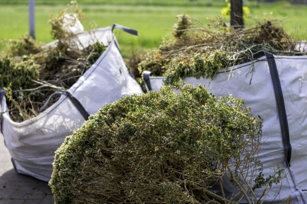 Cost of Shrubs Removal in Lewes