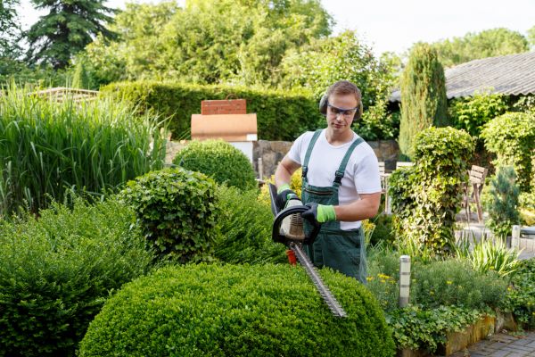 Shrubs Trimming in Lewes