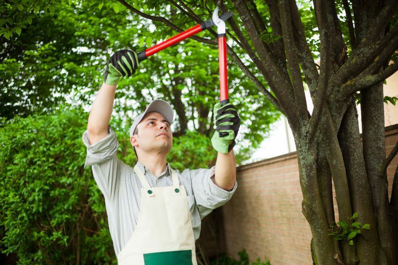 Specialized Arborists